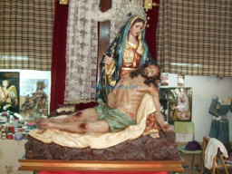 Fotos Noticias 2010